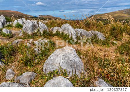 平尾台の秋景色・草紅葉　【福岡県北九州市】 120857837