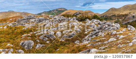 平尾台の秋景色・草紅葉　パノラマ　【福岡県北九州市】 120857867
