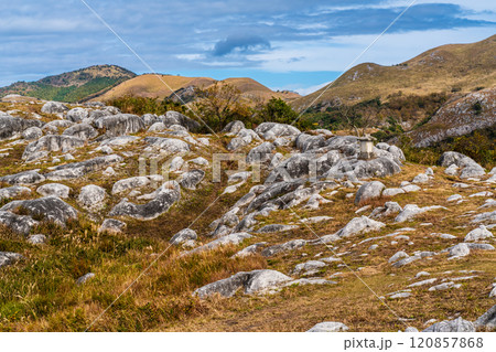 平尾台の秋景色・草紅葉　【福岡県北九州市】 120857868