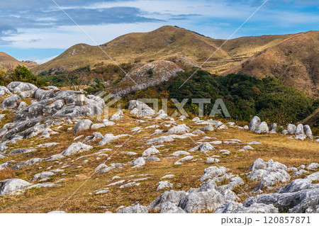 平尾台の秋景色・草紅葉　【福岡県北九州市】 120857871
