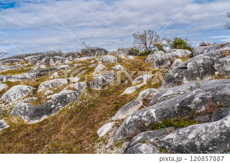 平尾台の秋景色・草紅葉 【福岡県北九州市】 平尾台の秋景色・草紅葉 【福岡県北九州市】 120857887