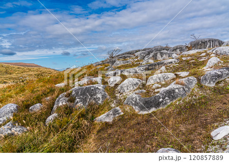 平尾台の秋景色・草紅葉　【福岡県北九州市】 120857889