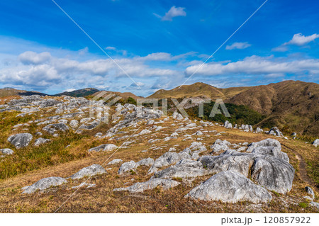 平尾台の秋景色・草紅葉 【福岡県北九州市】 平尾台の秋景色・草紅葉 【福岡県北九州市】 120857922
