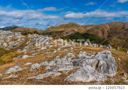 平尾台の秋景色・草紅葉　【福岡県北九州市】 120857923