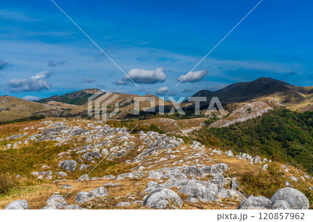 平尾台の秋景色・草紅葉 【福岡県北九州市】 平尾台の秋景色・草紅葉 【福岡県北九州市】 120857962