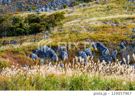 平尾台の秋景色・草紅葉 【福岡県北九州市】 平尾台の秋景色・草紅葉 【福岡県北九州市】 120857967