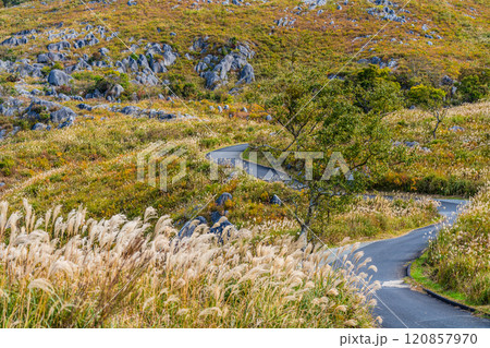 平尾台の秋景色・草紅葉　【福岡県北九州市】 120857970