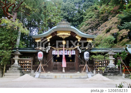二刀流・宮本武蔵ゆかりの社・八大神社（京都・左京区） 120858233