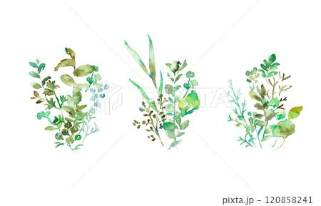 水彩画。水彩タッチの緑の植物イラスト。緑の葉っぱと草木のベクターフレーム。手書きの水彩草木背景。 水彩画。水彩タッチの緑の植物イラスト。緑の葉っぱと草木のベクターフレーム。手書きの水彩草木背景。 120858241