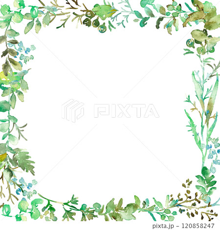 水彩画。水彩タッチの緑の植物イラスト。緑の葉っぱと草木のベクターフレーム。手書きの水彩草木背景。 水彩画。水彩タッチの緑の植物イラスト。緑の葉っぱと草木のベクターフレーム。手書きの水彩草木背景。 120858247