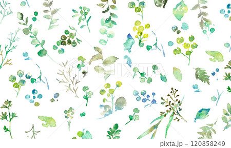 水彩画。水彩タッチの緑の植物イラスト。緑の葉っぱと草木のベクターフレーム。手書きの水彩草木背景。 水彩画。水彩タッチの緑の植物イラスト。緑の葉っぱと草木のベクターフレーム。手書きの水彩草木背景。 120858249