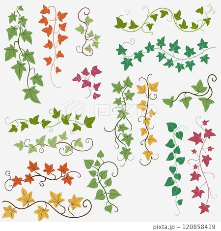 Floral ivy drawing decorative ornament flat design collection. Floral ivy drawing decorative ornament flat design collection. 120858419