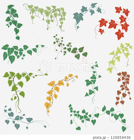 Floral ivy drawing decorative ornament flat design collection. Floral ivy drawing decorative ornament flat design collection. 120858436