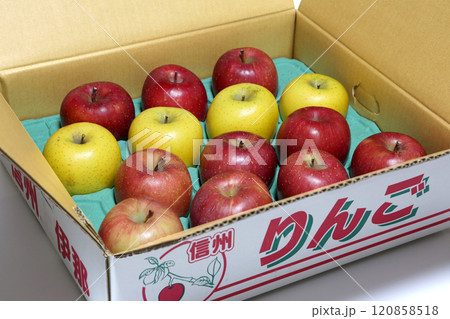 信州りんご　お歳暮　贈答品　シナノゴールド（黄）サンふじ（赤） 120858518