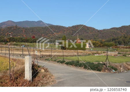 京都 嵯峨野 千代の古道 京都 嵯峨野 千代の古道 120858740