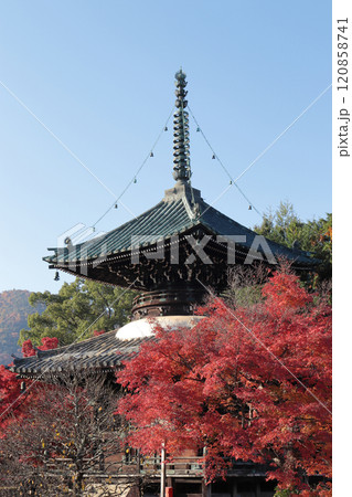 京都　嵯峨釈迦堂の多宝塔と紅葉 120858741