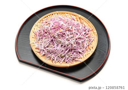 山形名産の食用菊、もってのほか 120858761