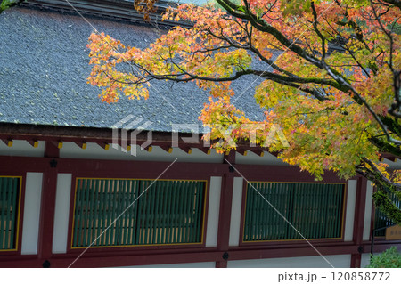 紅葉が美しい雨の日の紅葉スポット 紅葉が美しい雨の日の紅葉スポット 120858772