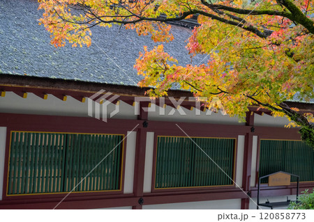 紅葉が美しい雨の日の紅葉スポット 紅葉が美しい雨の日の紅葉スポット 120858773
