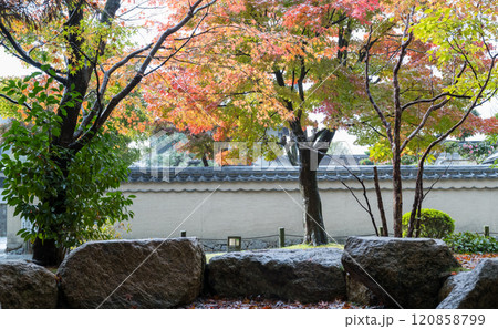 紅葉が美しい雨の日の紅葉スポット 紅葉が美しい雨の日の紅葉スポット 120858799