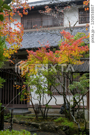 紅葉が美しい雨の日の紅葉スポット 紅葉が美しい雨の日の紅葉スポット 120858807