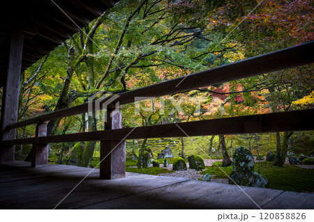 紅葉が美しい雨の日の紅葉スポット 紅葉が美しい雨の日の紅葉スポット 120858826