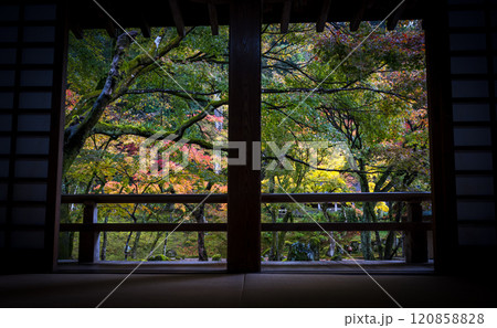 紅葉が美しい雨の日の紅葉スポット 紅葉が美しい雨の日の紅葉スポット 120858828