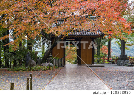 もみじが美しい紅葉スポット もみじが美しい紅葉スポット 120858950