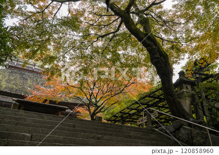 もみじが美しい紅葉スポット もみじが美しい紅葉スポット 120858960