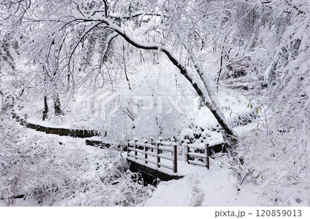 a serene winter landscape with snow-covered trees and a wooden fence. The ground is completely blanketed in snow, and the scene is tranquil and peaceful. a serene winter landscape with snow-covered trees and a wooden fence. The ground is completely blanketed in snow, and the scene is tranquil and peaceful. 120859013