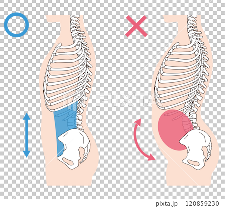 Rib gap, arched back, correct posture and arched back posture Rib gap, arched back, correct posture and arched back posture 120859230