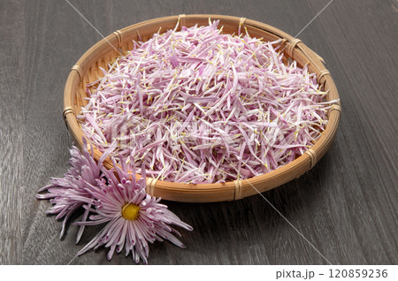 山形名産の食用菊、もってのほか花弁 120859236