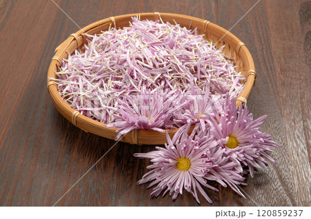 山形名産の食用菊、もってのほか花弁 120859237