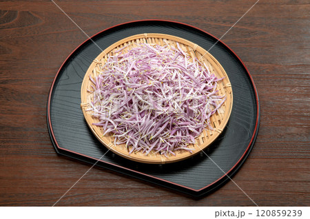 山形名産の食用菊、もってのほか花弁 120859239