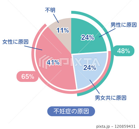 不妊症の原因　割合　グラフ 120859431