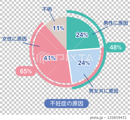 不妊症の原因　割合　グラフ 120859431