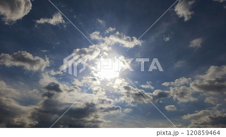 直写逆光 直写逆光 120859464