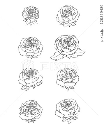 set of simple rose flower hand drawn line art 120859486