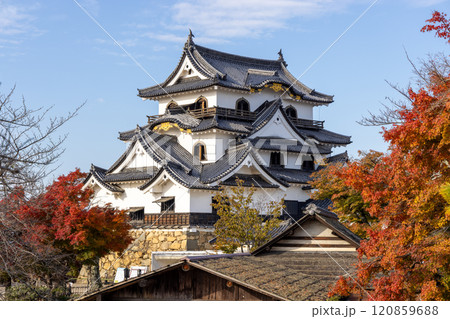 彦根城紅葉の天守閣 彦根城紅葉の天守閣 120859688