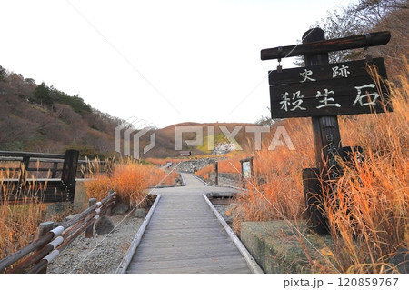 殺生石/栃木県那須町 殺生石/栃木県那須町 120859767