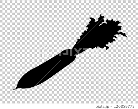 蘿蔔葉的剪影插圖 120859775