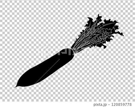葉付き大根の白黒イラスト(白抜きあり) 葉付き大根の白黒イラスト(白抜きあり) 120859778
