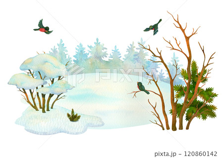 Winter forest. Season scene. Cartoon landscape. Horizontal composition of snowy bush, leafless tree, conifers, birds, snowdrifts and conifer forests on the horizon for magazine, print, card or cover Winter forest. Season scene. Cartoon landscape. Horizontal composition of snowy bush, leafless tree, conifers, birds, snowdrifts and conifer forests on the horizon for magazine, print, card or cover 120860142