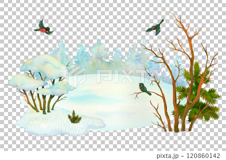 Winter forest. Season scene. Cartoon landscape. Horizontal composition of snowy bush, leafless tree, conifers, birds, snowdrifts and conifer forests on the horizon for magazine, print, card or cover Winter forest. Season scene. Cartoon landscape. Horizontal composition of snowy bush, leafless tree, conifers, birds, snowdrifts and conifer forests on the horizon for magazine, print, card or cover 120860142
