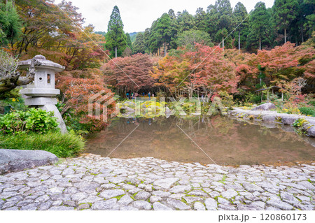 紅葉時期の環境芸術の森の風景 120860173