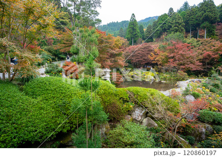 紅葉時期の環境芸術の森の風景 120860197