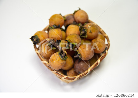 収穫した豆柿 収穫した豆柿 120860214