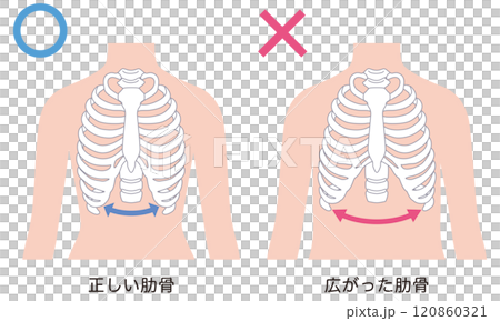開放式肋骨 封閉式肋骨 120860321