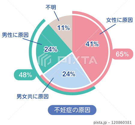不妊症の原因　割合　グラフ 120860381
