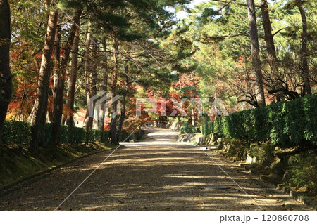 丹波亀山城址 120860708